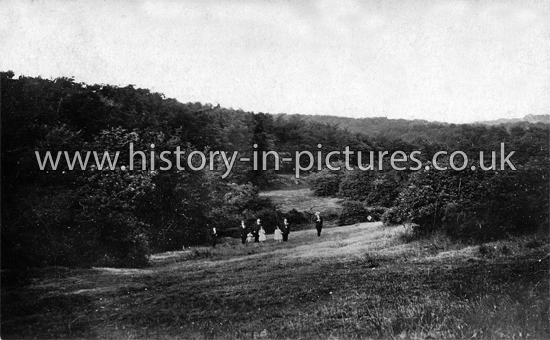 Epping Forest, near the Robin Hood Public House, Essex. c.1919
